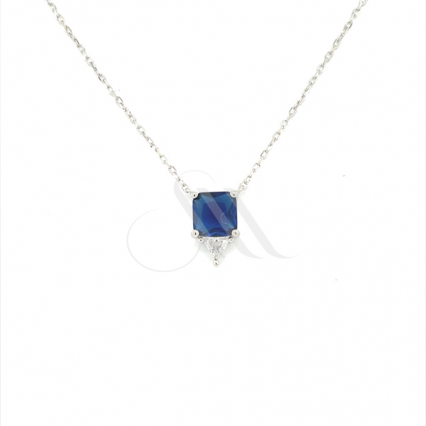 ZN2096WB