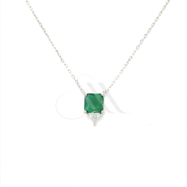 ZN2096WG